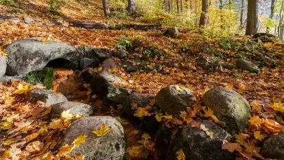 To warto zobaczyć. Chcesz się zakochać na Mazurach? Odwiedź „źródełko miłości”
