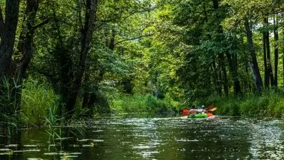 Kajakiem przez Mazury. Spływ rzeką Sapiną