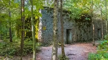 Tajemnicze Mamerki na Mazurach. Zobacz nasz materiał filmowy