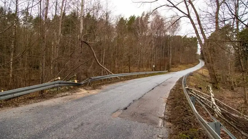 Zdjęcie poglądowe.