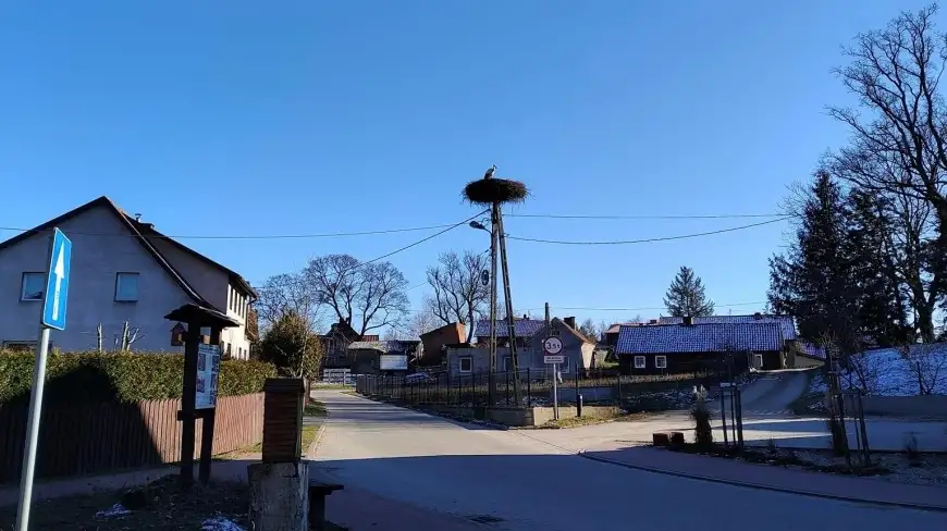 Wiosna coraz bliżej. Pierwszy bocian już przyleciał na Mazury i jest tu dobrze znany
