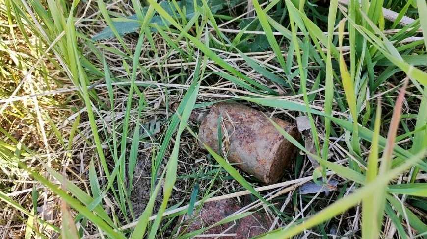 Na Mazurach może być niebezpiecznie podczas spacerów