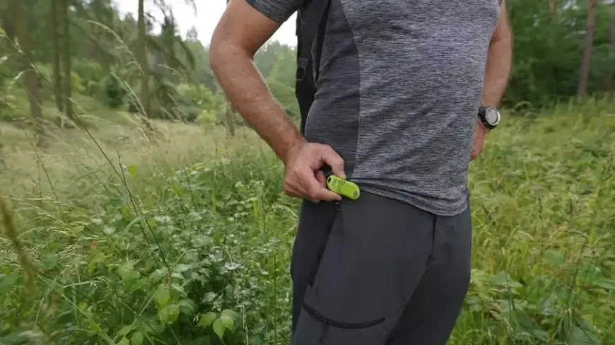 Zagrożenie kleszczami na Mazurach. Sanepid alarmuje