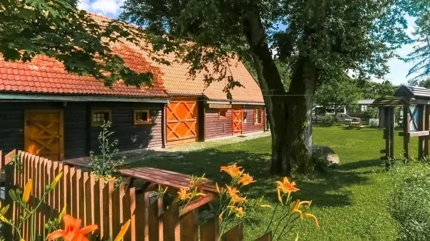 Wielki Dzień Pszczół. Słodkie święto na Mazurach