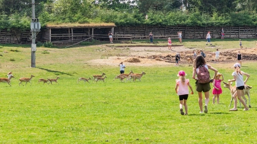 Kadzidłowo odcięte? Turystyczna perła Mazur z utrudnionym dostępem