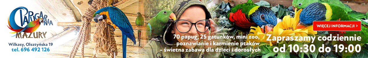 AA1 - Papugarnia Wilkasy