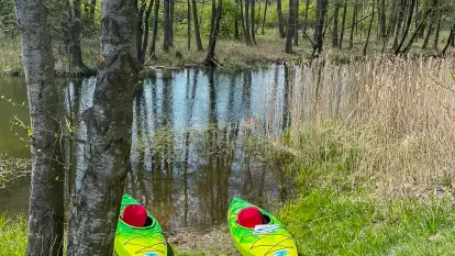 Spływy kajakowe Sapina / Węgorapa - zdjęcie 2