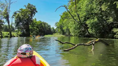 Spływy Kajakowe As-TOUR - zdjęcie 41