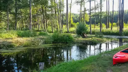 Spływy Kajakowe Wodniak - zdjęcie 10