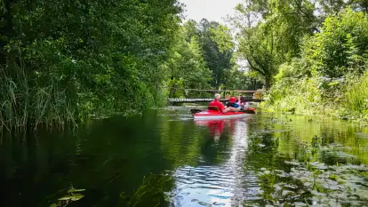 Spływy Kajakowe Wodniak - zdjęcie 1