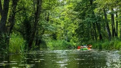 Spływy kajakowe rzeką Sapina - zdjęcie 10