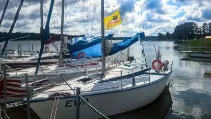 Marin - kursy i rejsy żeglarskie - zdjęcie 9