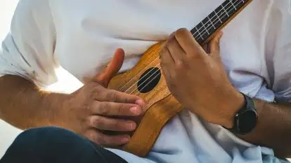 Szkoła Żeglarstwa Gertis - zdjęcie 8