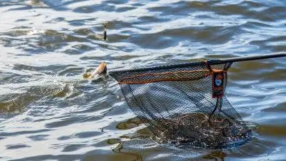 Łowisko Sterławki - zdjęcie 31