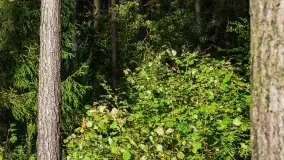 Zachód słońca nad jeziorem Kruklin, piękne te wrześniowe Mazury - zdjęcie 24