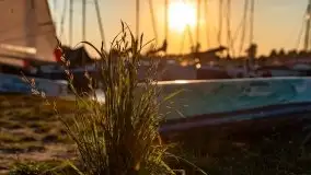 Zachód słońca nad jeziorem Bocznym, Tło Dla Mew, wrzesień 2021 - zdjęcie 46