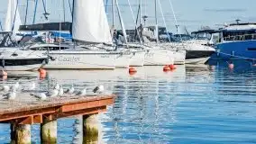 Suszenie żagli nad jeziorem Niegocin, Wilkasy - zdjęcie 37