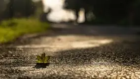 Zachód słońca nad jeziorem Dobskim, wrzesień 2021 r. - zdjęcie 31