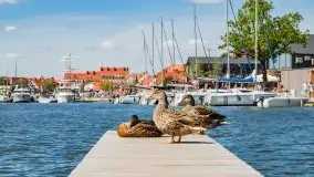 Promenada w Mikołajkach - zdjęcie 21