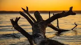 Zachód słońca, Giżycko, jezioro Niegocin, październik 2021 r. - zdjęcie 9