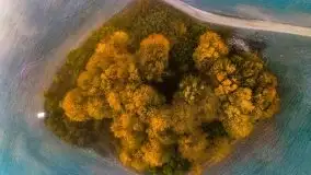 Październikowy wschód słońca, mgły i szron - zdjęcie 43