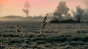 Październikowy wschód słońca, mgły i szron - zdjęcie 36