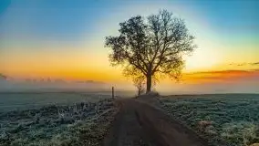 Październikowy wschód słońca, mgły i szron - zdjęcie 28