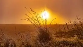 Październikowy wschód słońca, mgły i szron - zdjęcie 57