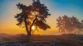 Październikowy wschód słońca, mgły i szron - zdjęcie 7