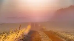 Październikowy wschód słońca, mgły i szron - zdjęcie 3