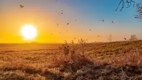 Październikowy wschód słońca, mgły i szron - zdjęcie 72