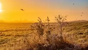 Październikowy wschód słońca, mgły i szron - zdjęcie 82