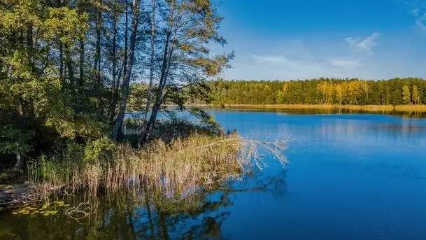 Początki mazurskiej złotej jesieni, październik 2021 r. - zdjęcie 4