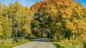 Początki mazurskiej złotej jesieni, październik 2021 r. - zdjęcie 21