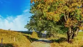 Początki mazurskiej złotej jesieni, październik 2021 r. - zdjęcie 31