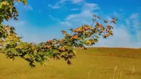 Początki mazurskiej złotej jesieni, październik 2021 r. - zdjęcie 24