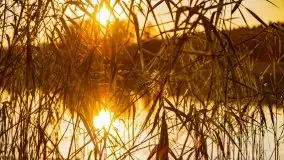 Zachód słońca nad jeziorem Krzywa Kuta - zdjęcie 20