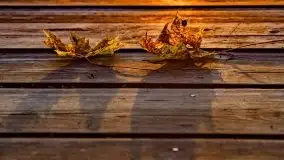 Zachód słońca nad jeziorem Krzywa Kuta - zdjęcie 4