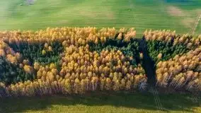 Jesień z lotu ptaka w okolicach jezior Gołdopiwo i Wilkus - zdjęcie 12