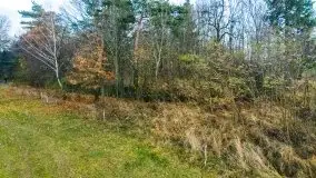 Mazury są pełne schronów i bunkrów z czasów I i II w.ś. - zdjęcie 31