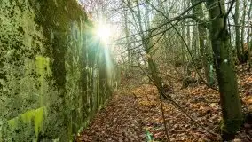 Mazury są pełne schronów i bunkrów z czasów I i II w.ś. - zdjęcie 1