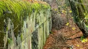 Mazury są pełne schronów i bunkrów z czasów I i II w.ś. - zdjęcie 23