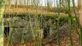 Mazury są pełne schronów i bunkrów z czasów I i II w.ś. - zdjęcie 21