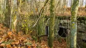 Mazury są pełne schronów i bunkrów z czasów I i II w.ś. - zdjęcie 30