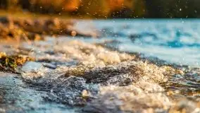 Jesienny Dargin pełen urokliwych kolorów - zdjęcie 27