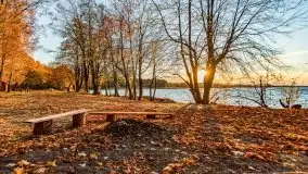 Jesienny Dargin pełen urokliwych kolorów - zdjęcie 29