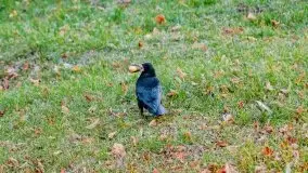 Mazurska złota jesień w Giżycku i okolicach - zdjęcie 19