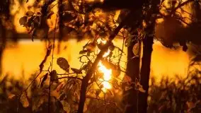 Zachód słońca nad jeziorem Kruklin, październik 2021 - zdjęcie 12