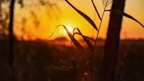 Zachód słońca nad jeziorem Kruklin, październik 2021 - zdjęcie 6