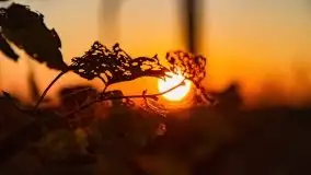 Zachód słońca nad jeziorem Kruklin, październik 2021 - zdjęcie 3